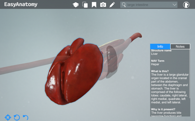 3d canine anatomy software 1.1