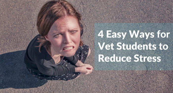 How to Reduce Vet School Stress