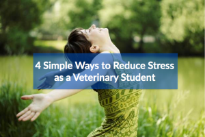 EasyAnatomy Reduces Study Stress