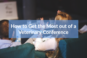 How to Get the Most out of a Veterinary Conference