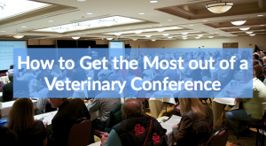 How to Get the Most out of a Veterinary Conference