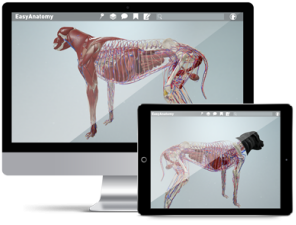 3d canine anatomy software 1.7 free download