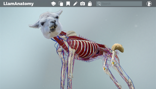LlamAnatomy 3D Llama Anatomy Software