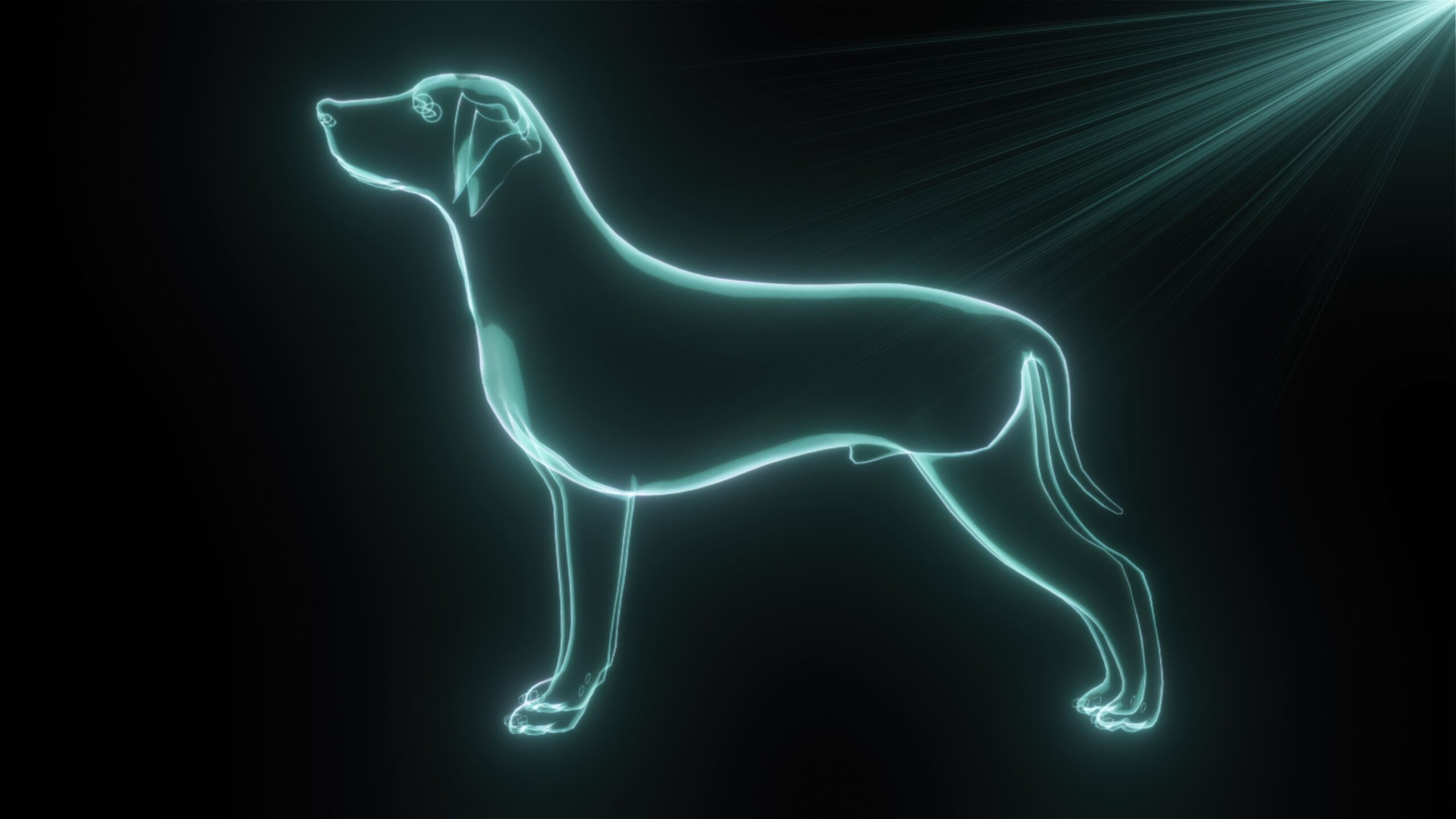 Expanding Veterinary Horizons: The Power of Augmented Reality in Education